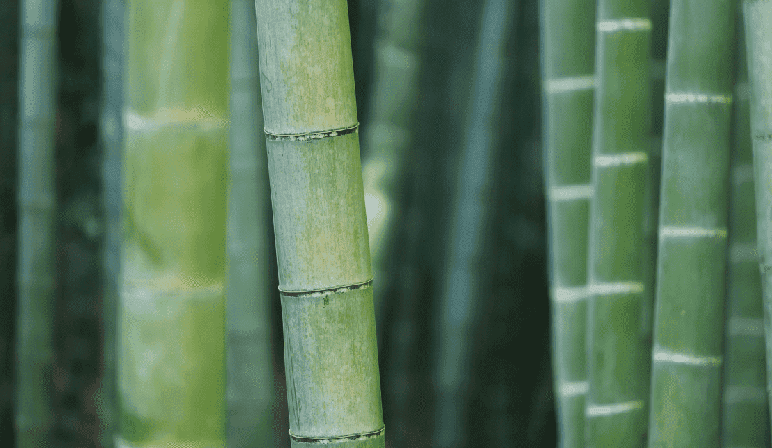 Bamboo Relay decentralized trading case study hero