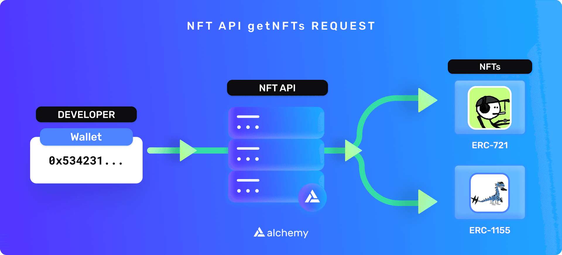An example of the NFT API returning requested data, based on wallet address