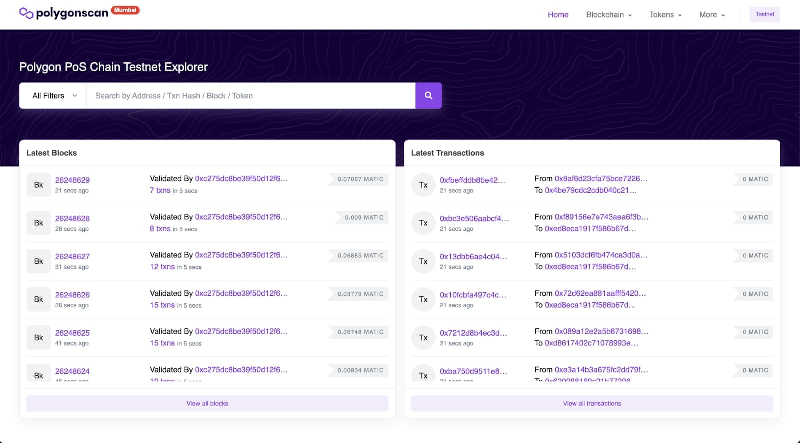 Mumbai Polygonscan block explorer homepage for browsing testnet transactions