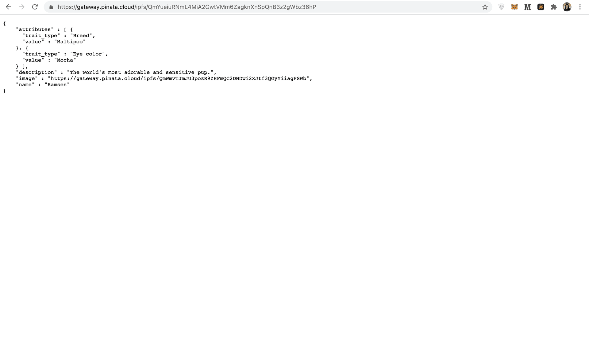 Returned hashcode on Pinata