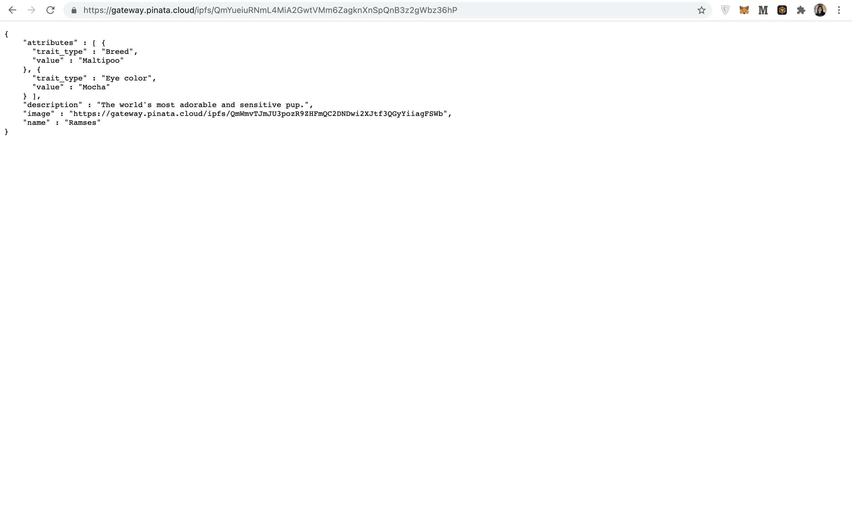 NFT metadata JSON returned from the Pinata IPFS gateway