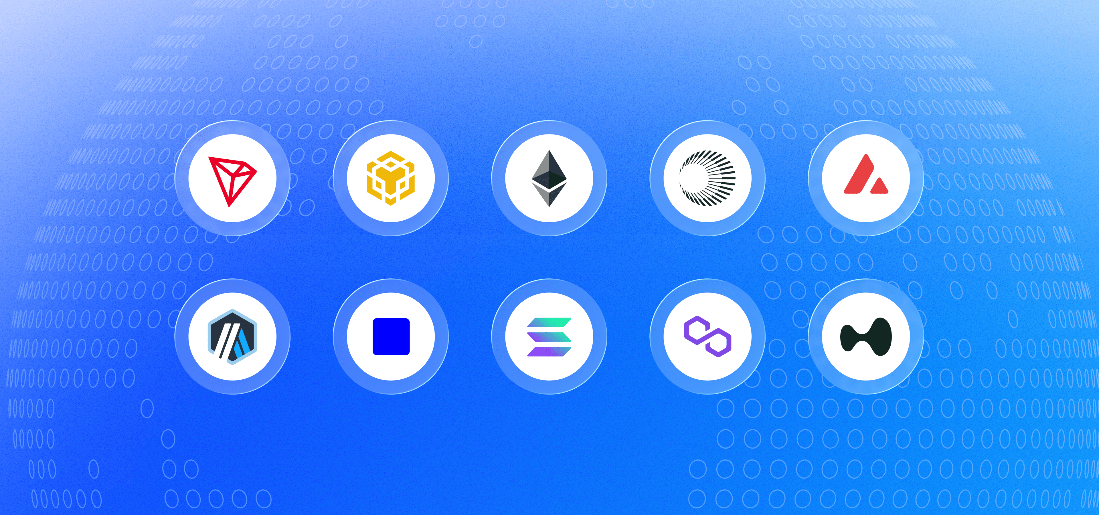 Blockchain network logos representing the multichain stablecoin landscape