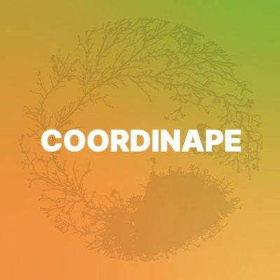 Coordinape