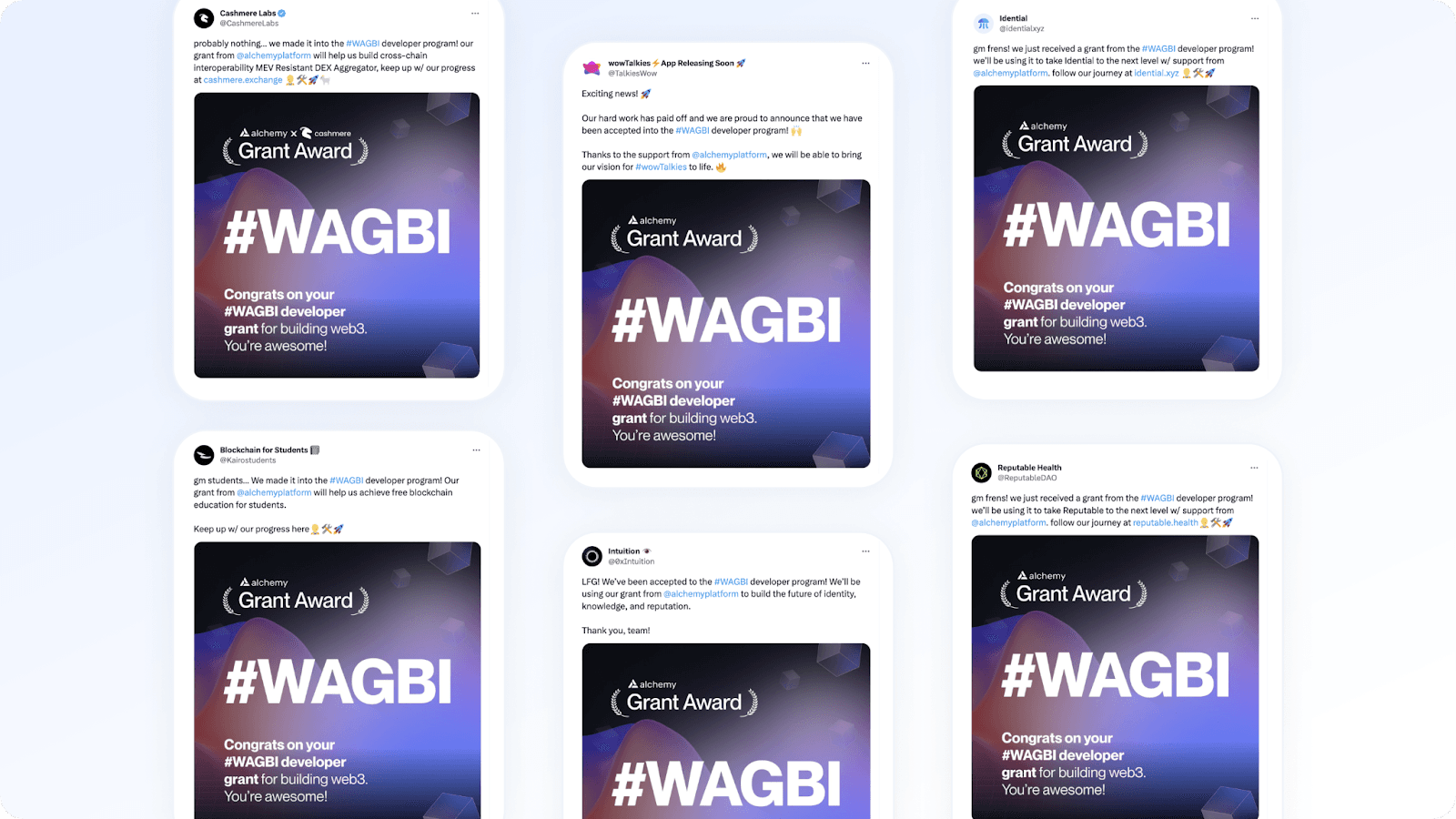 WAGBI Developer Grant