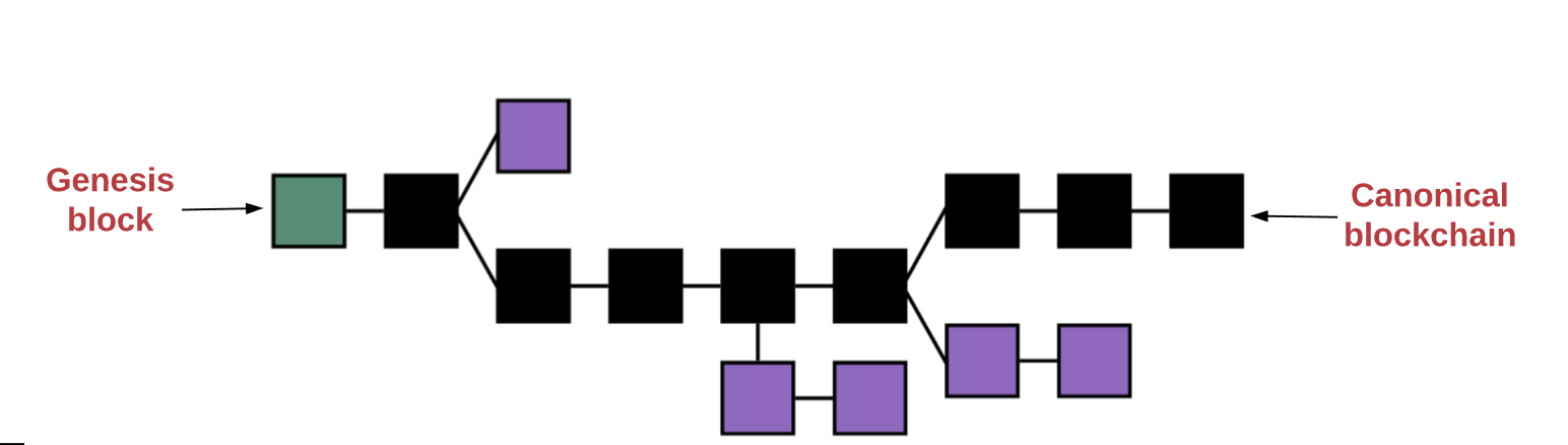 Canonical chain