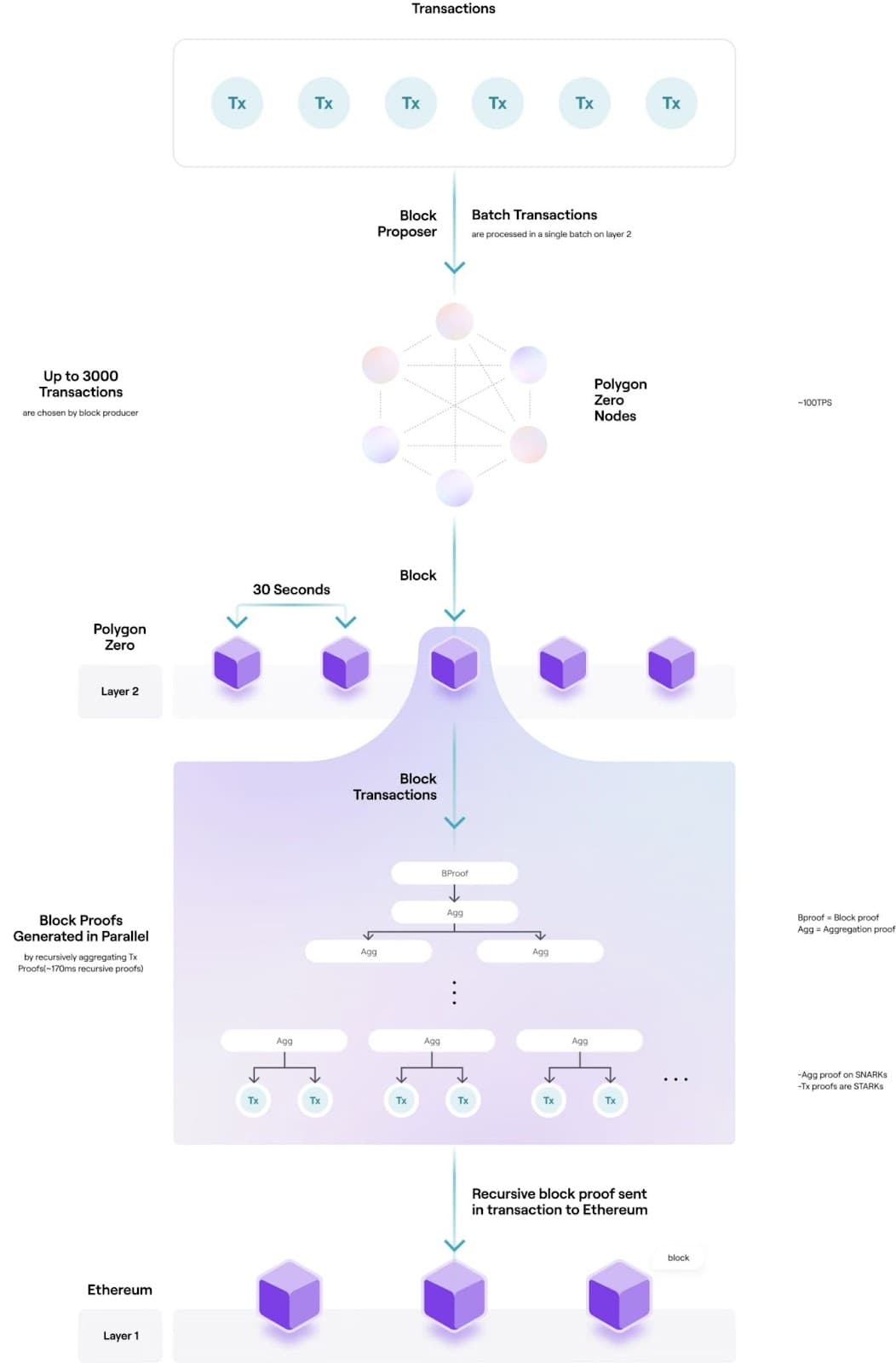 Diagram of Polygon Zero aggregating transaction proofs into a single recursive proof