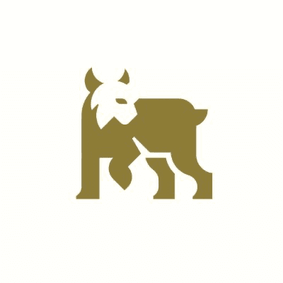 Lince Finance