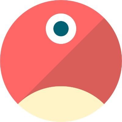 pNetwork