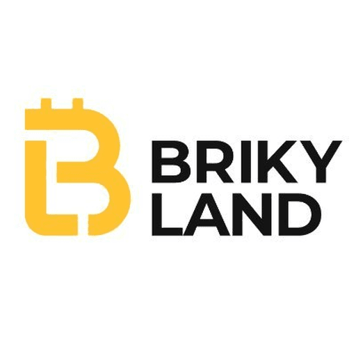 Briky Capital